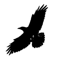 Corbeau Innovation Limited logo - Similar company to Frosco