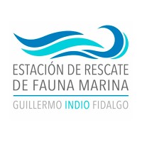 Estación de Rescate de Fauna Marina Guillermo 