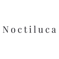 Noctiluca Consulting - Simple. Resilient. Connections logo - Similar company to High Winds Ltd.
