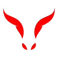 Anox logo - Similar company to Dev Paragon