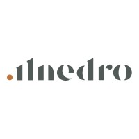 ILNEDRO logo - Similar company to Avbcg