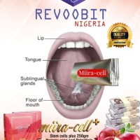 Revoobit Miira cell logo - Similar company to Freelance Admin & Design Services