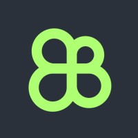 BigBangFlow logo - Similar company to Retention Machine