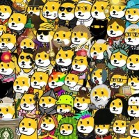 MyDoge Inc. logo - Similar company to Onenet