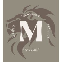 MR Business logo - Similar company to Red Boost Agency