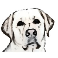 Alliance Pet Group LLC logo - Similar company to M/S Raiyan Trade
