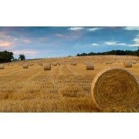 Agriafrique