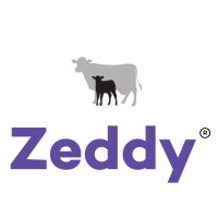 Zeddy logo - Similar company to Cesson