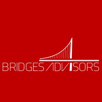 Bridges Advisors logo - Similar company to Arktype Ai