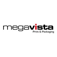 Megavista logo - Similar company to Koning Web