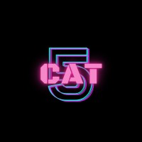 CAT5 logo - Similar company to Troublemaker Studio