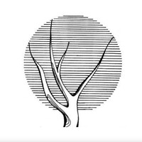 Adwoods Design Inc logo - Similar company to Root Interiors Ltd