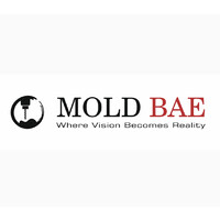 MOLD BAE logo - Similar company to A Square Solution