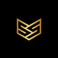 Valetudo Systems logo - Similar company to Peerwize