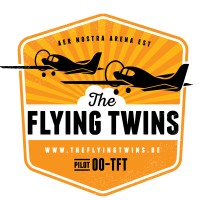 The Flying Twins logo - Similar company to Aero Vintage Academy (Ava)