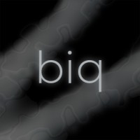 biq logo - Similar company to Biq