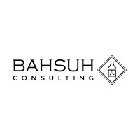 BAHSUH Consulting