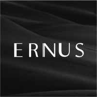 ERNUS logo - Similar company to Plusslab