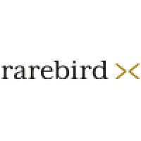 Rarebird Brand Strategy and Design logo - Similar company to Rarebird
