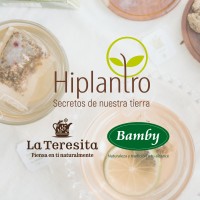 Hiplantro logo - Similar company to Visdecol S.A.S.