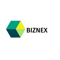 Biznex Strategies logo - Similar company to Ixpert Advisors