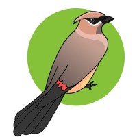 The Dawn Chorus Group logo - Similar company to Servato