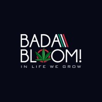 Bada Bloom! logo - Similar company to Syndic8