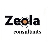 Zeola Consultants logo - Similar company to Italy And Idli