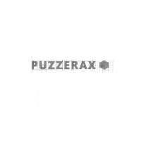 Puzzerax Inc logo - Similar company to Rouvoo