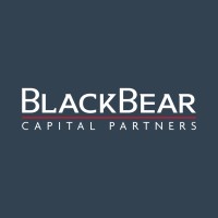 Black Bear Capital Partners logo - Similar company to Plum Commercial Real Estate Lending