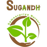 Sugandh & Sameerpriya Nursery logo - Similar company to Crosby