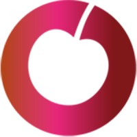 CHERRYTECH LIMITED logo - Similar company to Gb Electronics (Uk) Ltd