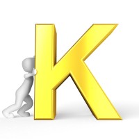 Kaufman Consulting, Inc. logo - Similar company to I & I Pro Accounting & Tax Service Corp