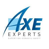 Axe Experts Idf logo - Similar company to Data Mastery Consulting