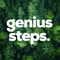 Genius Steps - Future Solutions logo - Similar company to Mainzer Mobilität