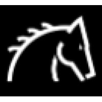 Black Horse Communications logo - Similar company to Dpv (Dublin Plywood & Veneer)