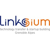 Linksium Projets logo - Similar company to Dropstyle