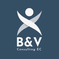 B&V Consulting EC logo - Similar company to Iq Projects Consulting Group