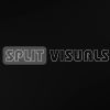Split Visuals logo - Similar company to Econarch Consulting And It Services (Pty) Ltd