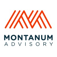 Montanum Advisory logo - Similar company to Xenon Building Technology