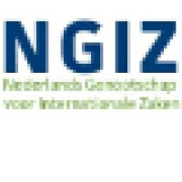 NGIZ - Nederlands Genootschap voor Internationale Zaken logo - Similar company to Ngiz Nu