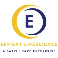 Effisat Lifescience logo - Similar company to Telemetry