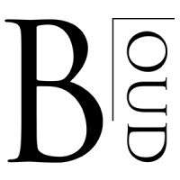 Bloud Agency logo - Similar company to Bloud