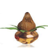 Shubhaarambh Business Services Pvt Ltd logo - Similar company to Disha Research Group - India