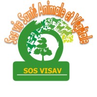 SOS VISAV logo - Similar company to Mind My Business.