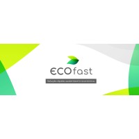 EcoFast Uberlandia logo - Similar company to Ipog Uberlândia