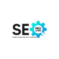 SEO PRO LEADS logo - Similar company to Seo Texs