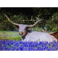 FiPar Financial, Inc--Institutional Trust Consultants logo - Similar company to Fipar Financial, Inc.