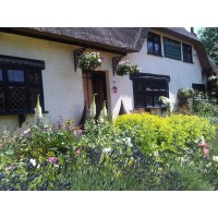 The Red Cow, Chrishall logo - Similar company to Millipede Print