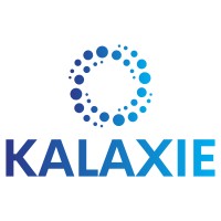 KALAXIE logo - Similar company to Digispin